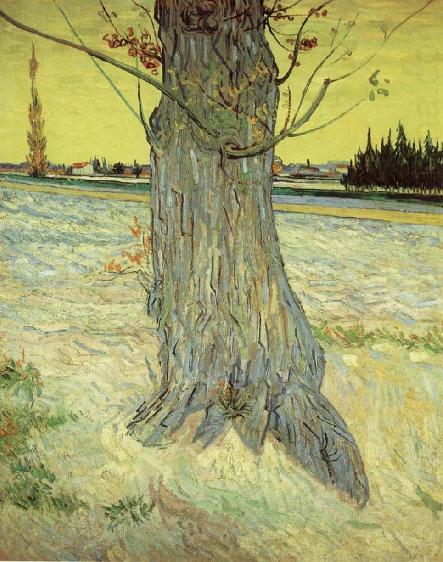Vincent Van Gogh The Old yew tree china oil painting image